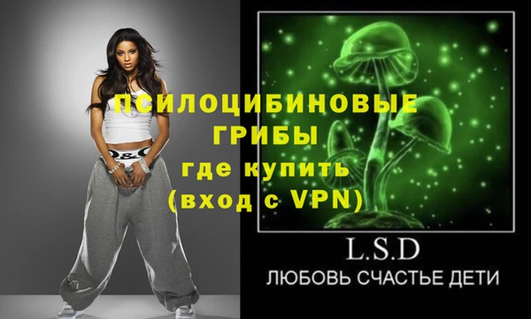 Альфа ПВП Магас
