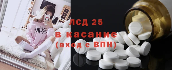ГАЛЛЮЦИНОГЕННЫЕ ГРИБЫ Магадан