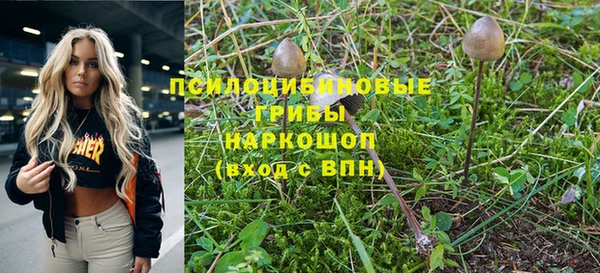 ГАЛЛЮЦИНОГЕННЫЕ ГРИБЫ Магадан