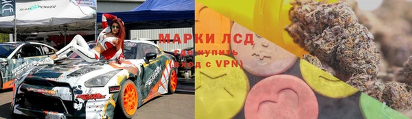 ГАЛЛЮЦИНОГЕННЫЕ ГРИБЫ Магадан