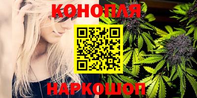 индика Апшеронск