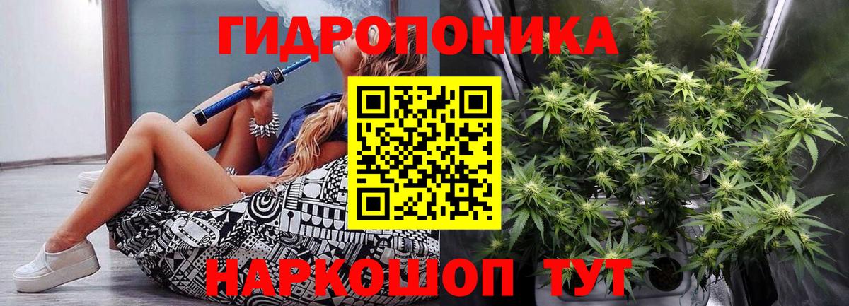 Канабис план Балаково
